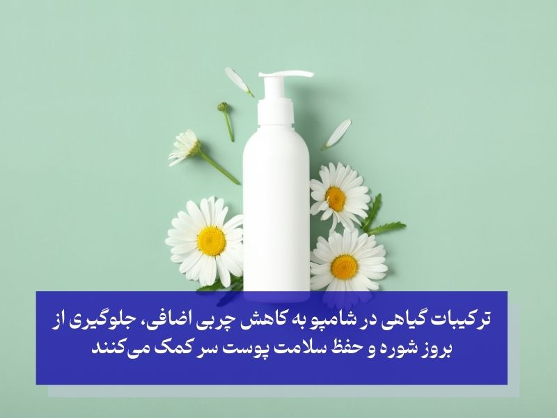 شامپوهای طبیعی و گیاهی برای موهای چرب چه ترکیباتی دارند