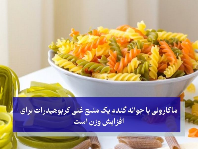 ماکارونی با جوانه گندم؛ منبع غنی کربوهیدرات برای افزایش وزن