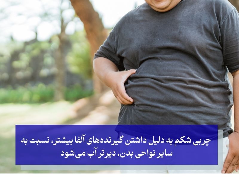 مراحل آب شدن چربی شکم