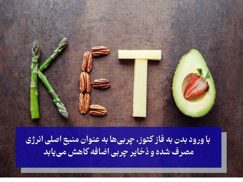 مزایای رژیم کتوژنیک برای کاهش وزن کاهش چربی و بهبود متابولیسم