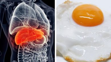 مضرات سفیده تخم مرغ برای کبد