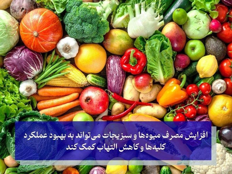 نقش رژیم غذایی در کاهش دفع پروتئین