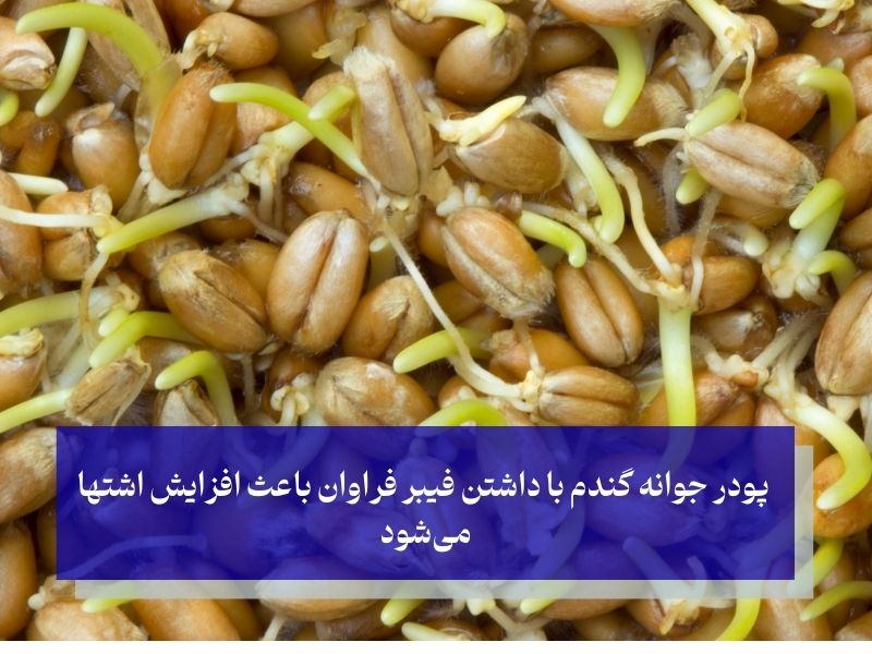 پودر جوانه گندم چیست