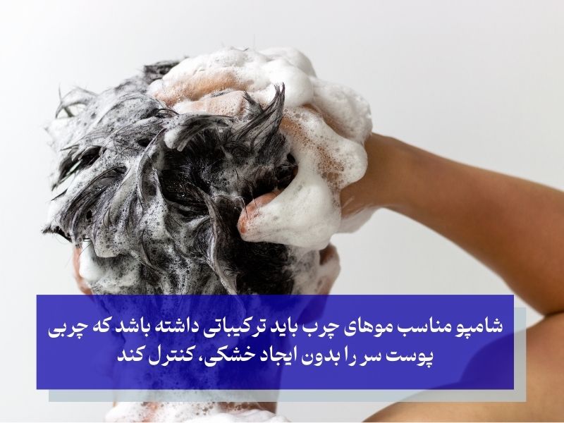 چرا انتخاب شامپو مناسب برای موهای چرب مهم است