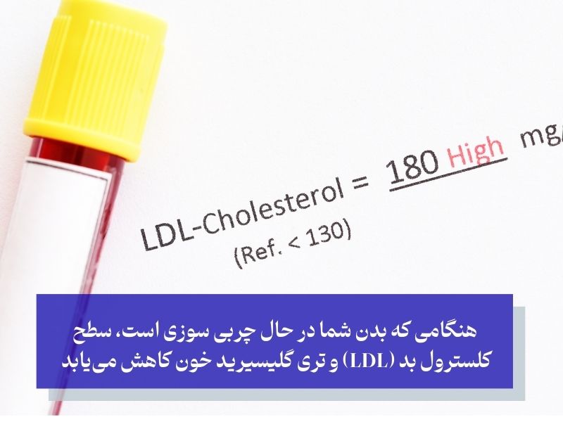 چگونه تغییرات درونی بدن بخاطر چربی سوزی را تشخیص دهیم؟