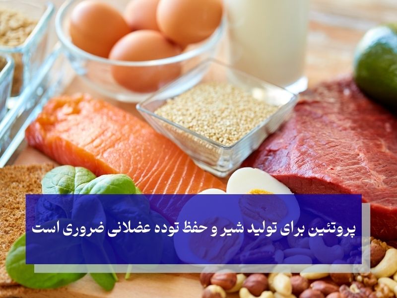 چیکار کنم تو شیردهی لاغر نشم