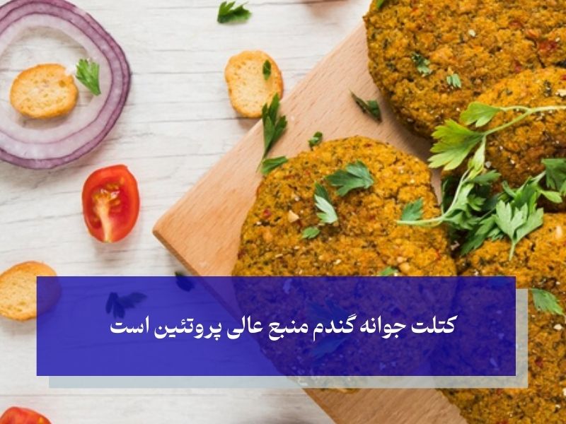 کتلت جوانه گندم؛ بهترین منبع پروتئین