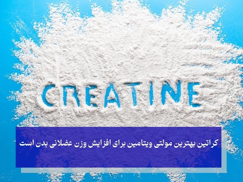 کراتین؛ بهترین مولتی ویتامین برای افزایش وزن بدون چربی