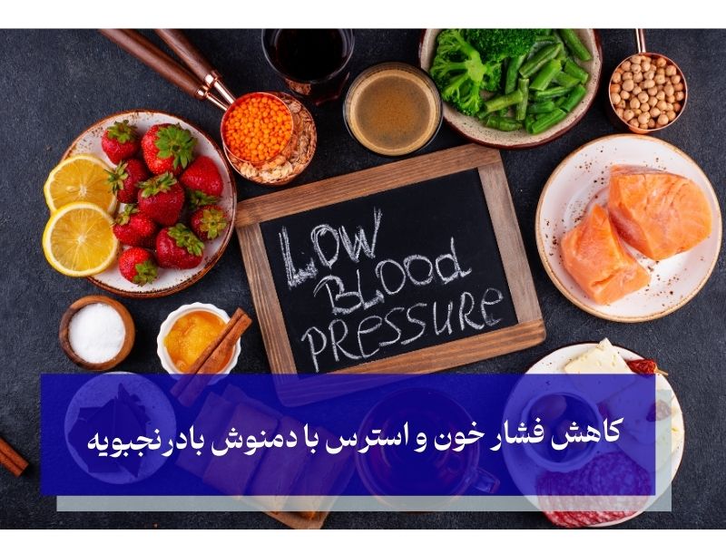 کاهش فشار خون و استرس با بادرنجبویه