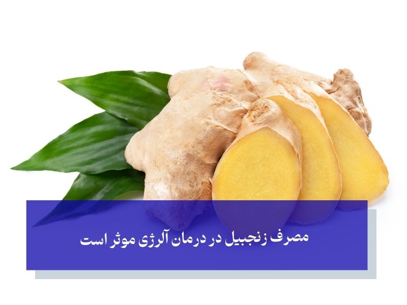مصرف زنجبیل در درمان آلرژی موثر است