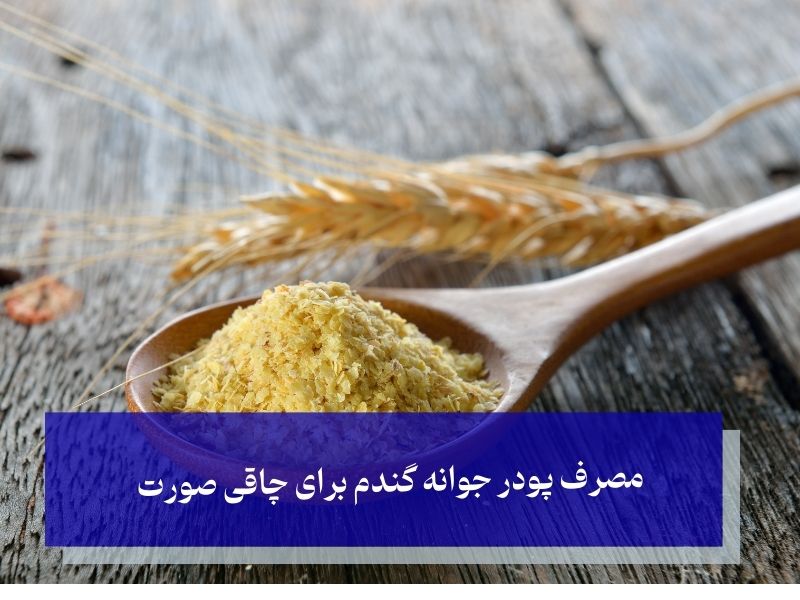مصرف پودر جوانه گندم برای چاقی صورت