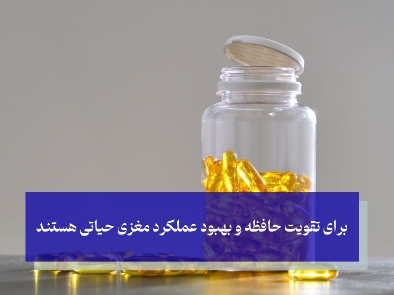 اسیدهای چرب امگا 3 برای تقویت حافظه