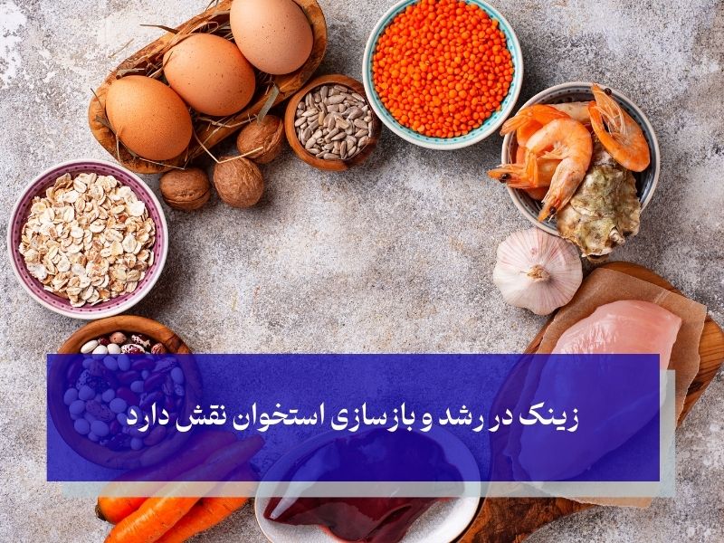 زینک (Zinc)؛ تقویت تولید سلول‌های استخوان‌ساز