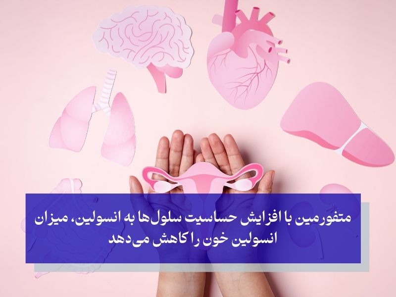 مکانیسم اثر قرص متفورمین برای تنبلی تخمدان