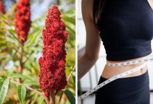 سماق برای لاغری شکم و پهلو