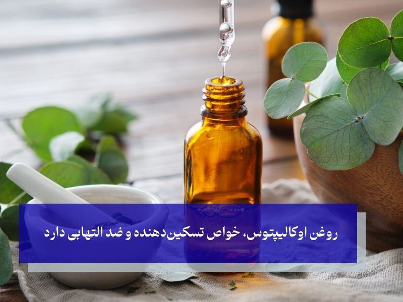 روغن اکالیپتوس، بهترین روغن برای دیسک کمر
