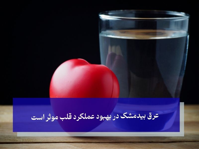 عرق بیدمشک در بهبود عملکرد قلب موثر است