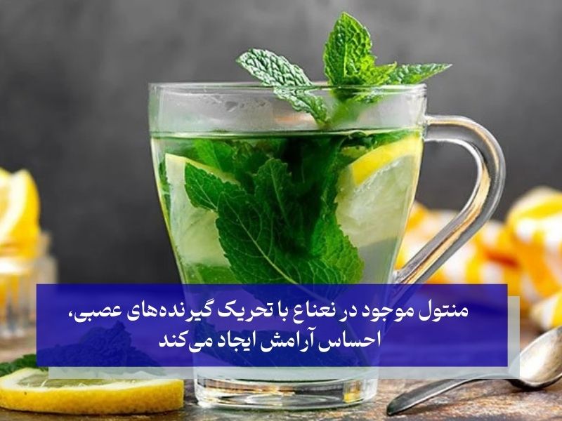 خواص عرق نعناع برای مردان و کاهش استرس