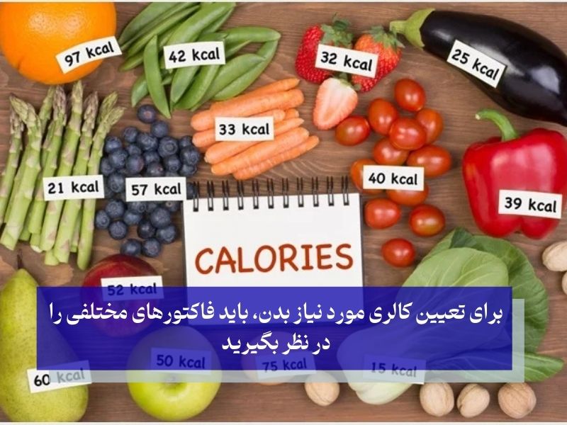 میزان کالری مورد نیاز بدن در 24 ساعت