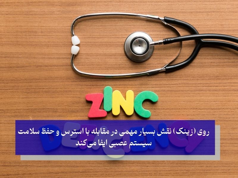 نقش کلیدی روی در پاسخ به استرس