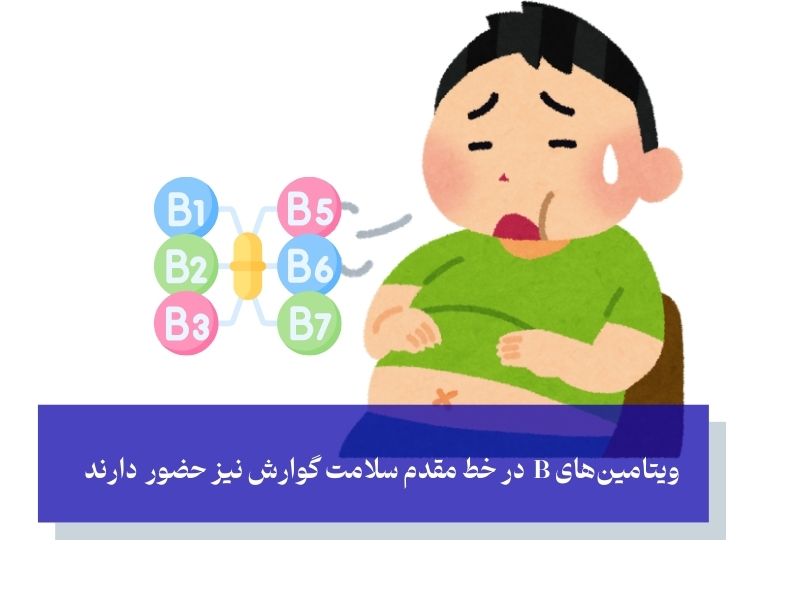 ویتامین‌های گروه B