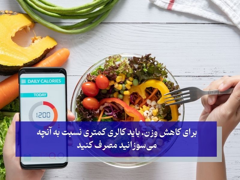 کاهش وزن با شمارش کالری