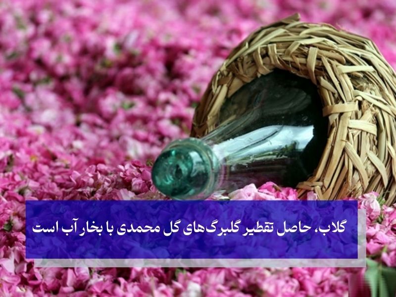 گلاب چیست و چه ترکیباتی دارد
