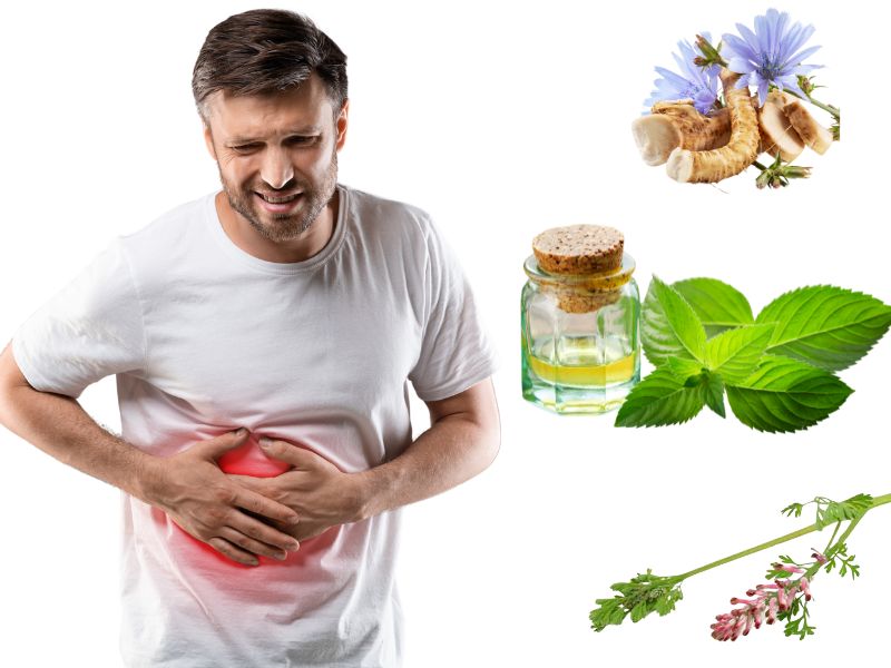 بهترین زمان خوردن عرق کاسنی و شاتره برای کبد چرب