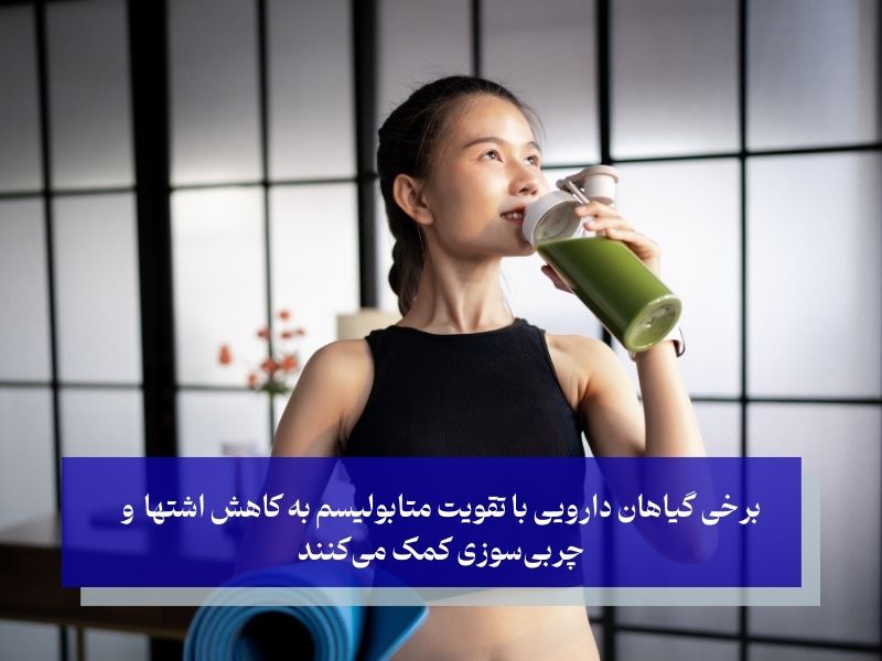 آیا گیاهان دارویی در لاغری تاثیر گذارند؟