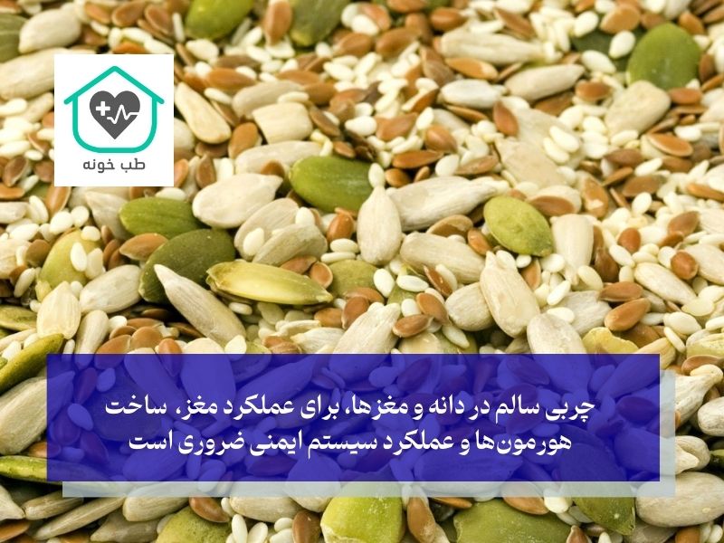 مغزها در لیست غذاهای رژیمی برای کاهش وزن