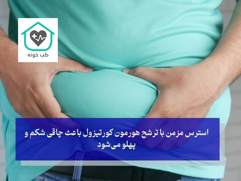استرس مزمن و چربی شکمی