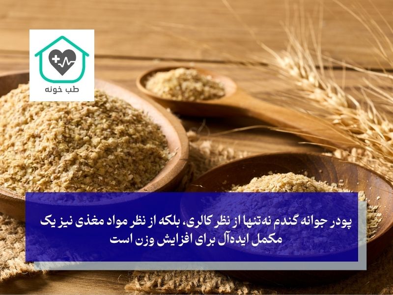 ترکیبات غذایی پودر جوانه گندم (در هر 100 گرم)