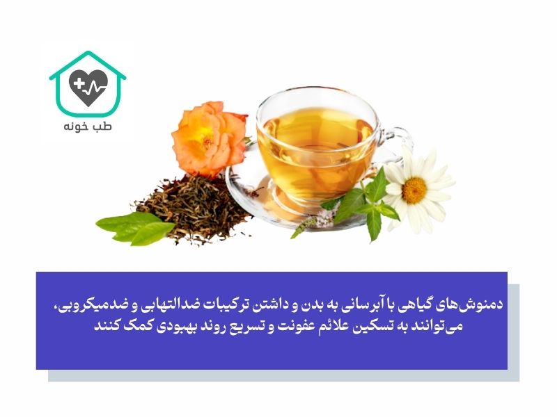 دمنوش‌ها و گیاهان دارویی؛ آیا راهکار گیاهی برای عفونت وجود دارد