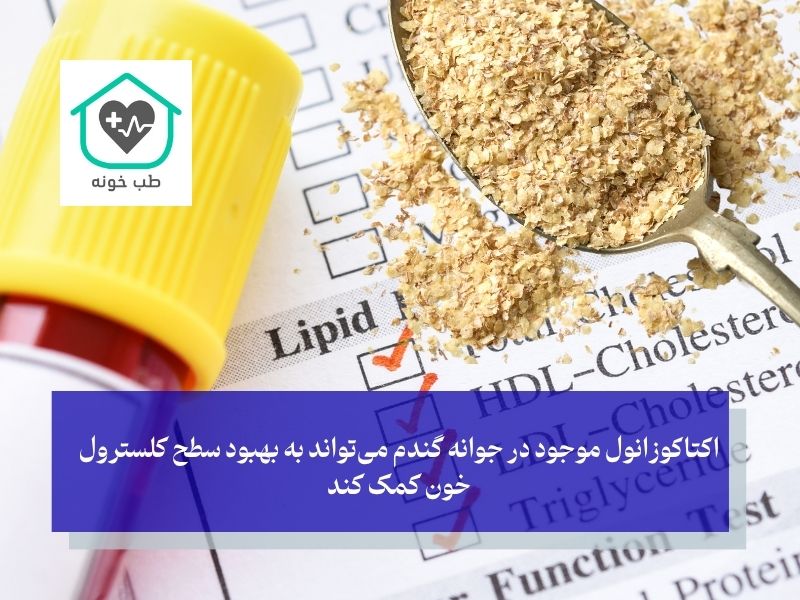 فواید پودر جوانه گندم برای سلامتی