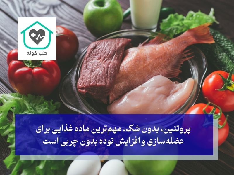 مصرف پروتئین قبل از خواب برای افزایش وزن