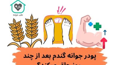 پودر جوانه گندم بعد از چند روز چاق میکند؟