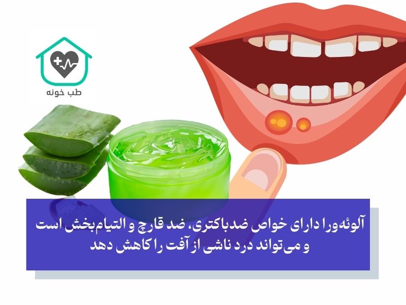 آلوئه‌ورا؛ ترمیم سریع و ضدالتهاب طبیعی