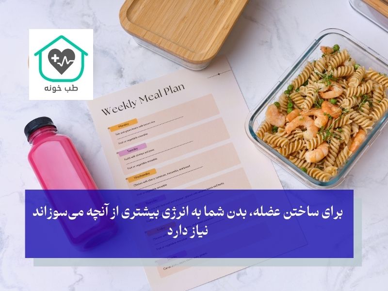 اصول کلیدی عضله‌سازی