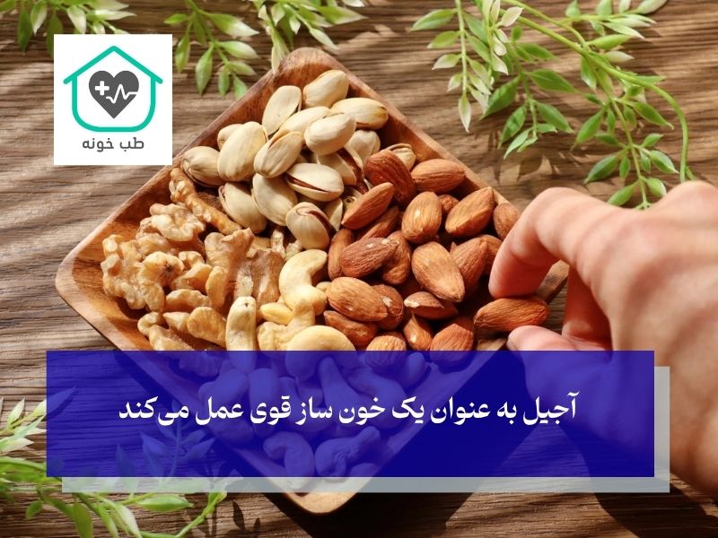 آجیل های خون ساز