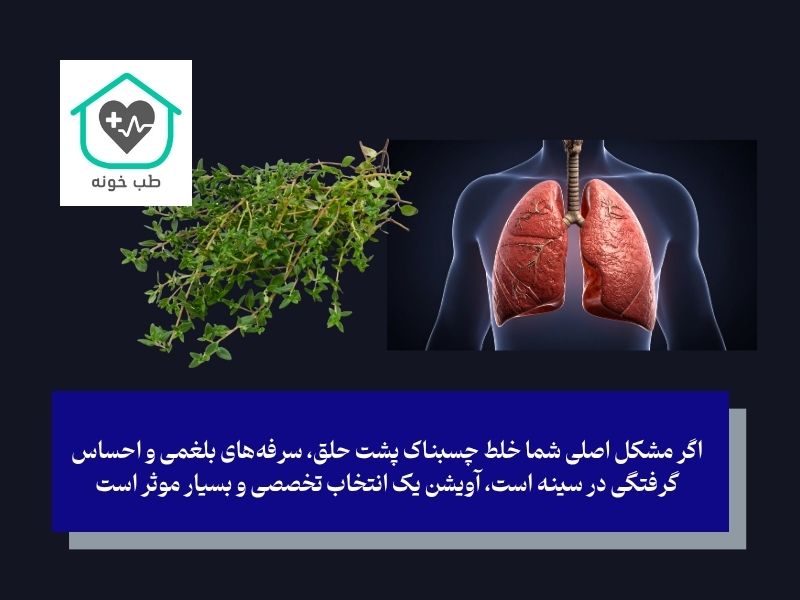 آویشن (Thyme)؛ پاک‌کننده تخصصی مجاری تنفسی از خلط
