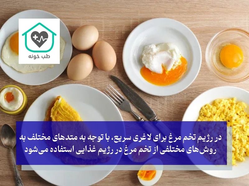 انواع رژیم تخم مرغ برای لاغری سریع