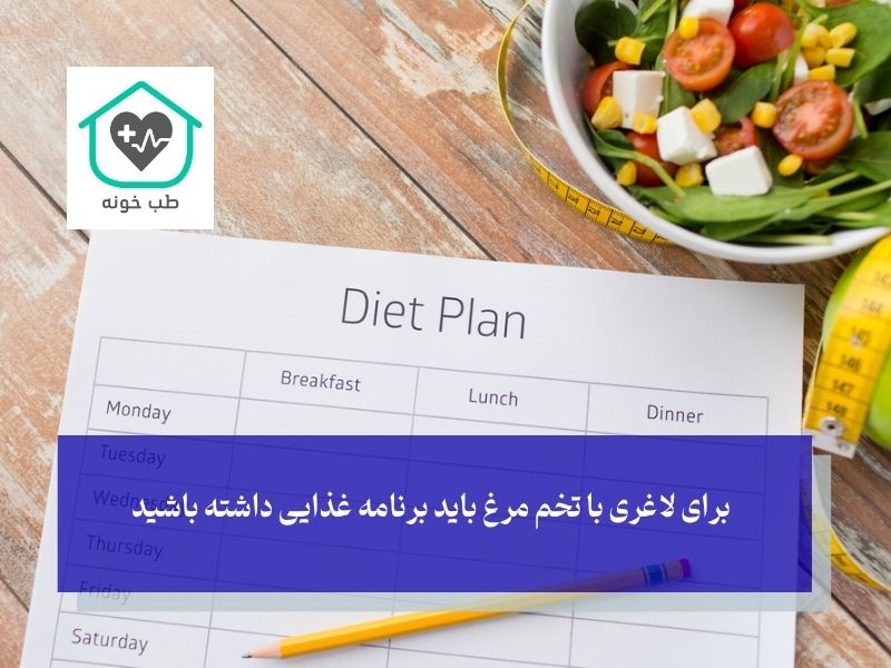 برنامه رژیم تخم‌مرغ