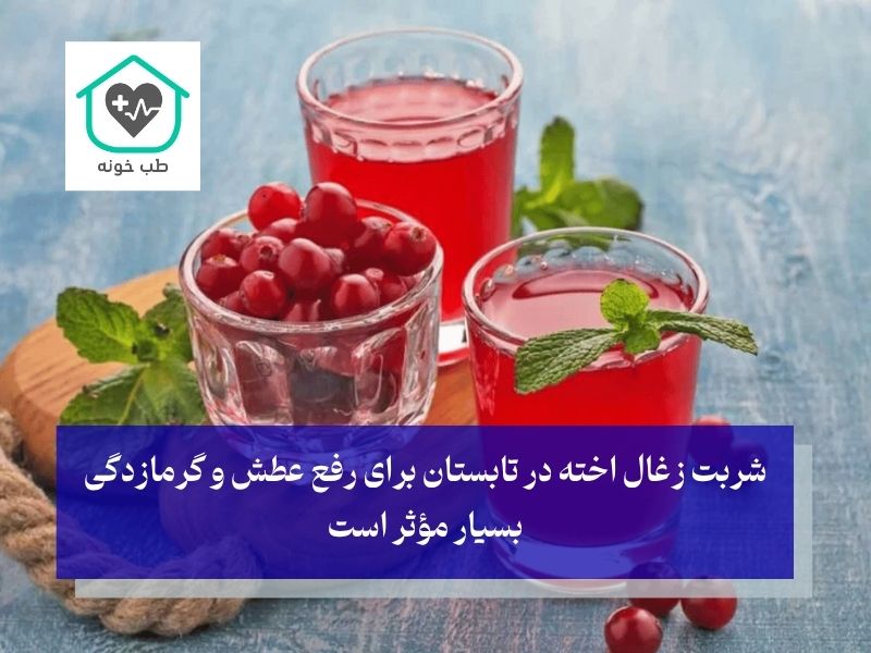 خواص زغال اخته برای بدن