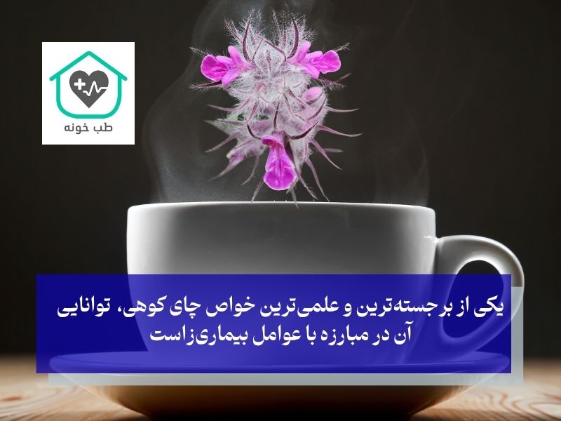 خواص چای کوهی برای عفونت