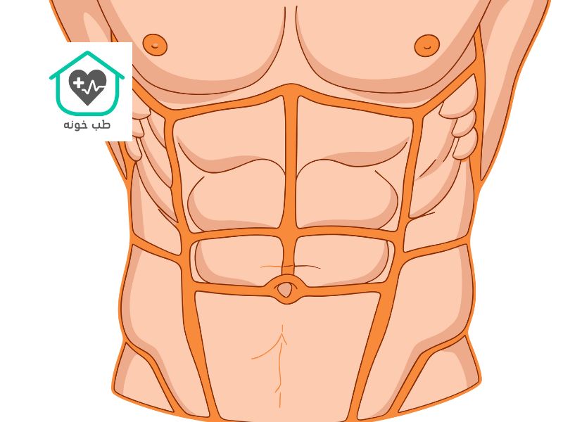 سیکس پک سریع در خانه