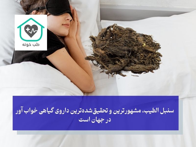 قویترین داروهای گیاهی خواب آور؛ از سنبل الطیب تا گل ساعتی، علم چه می‌گوید؟