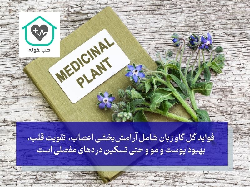 لیست خواص شگفت‌انگیز