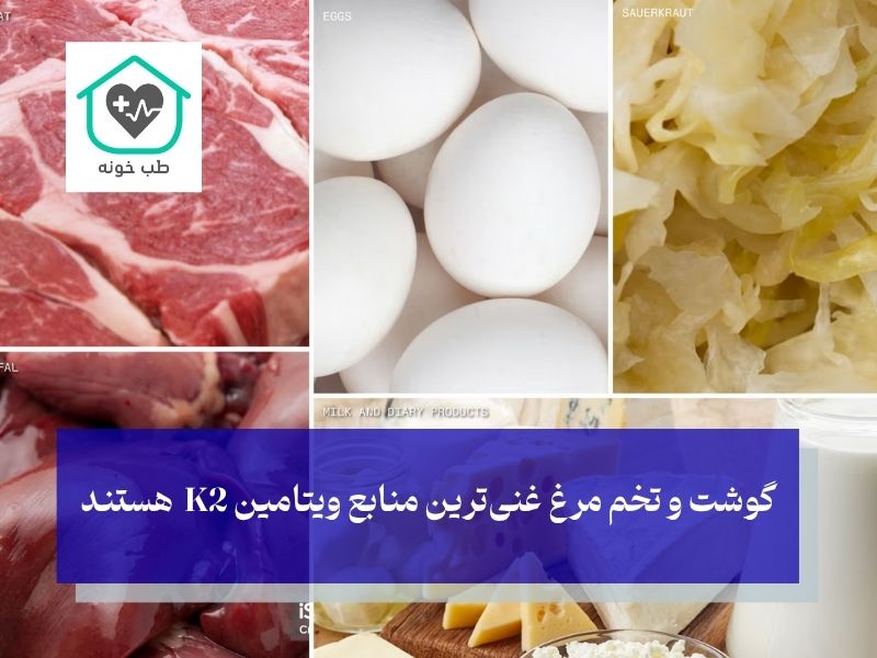 منابع مهم MK-4 در گوشت و تخم مرغ