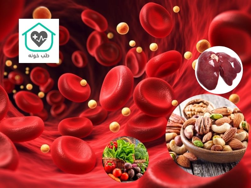 مواد غذایی خون ساز