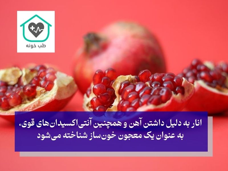 میوه های خون ساز